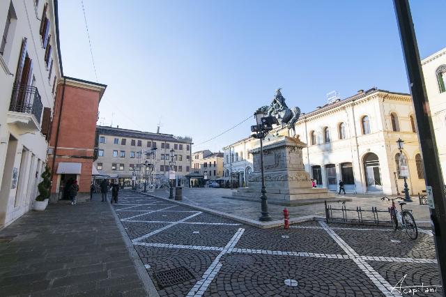 Villa in Piazza Giuseppe Garibaldi 29, Rovigo - Foto 1