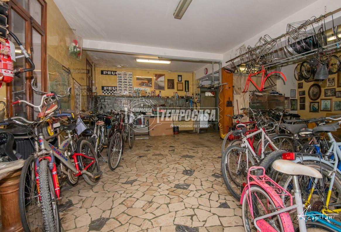 immagine annuncio 12 di 15