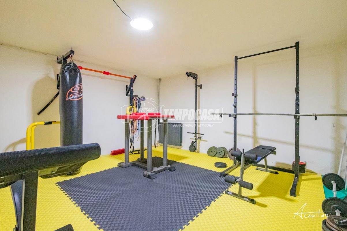 immagine annuncio 12 di 15