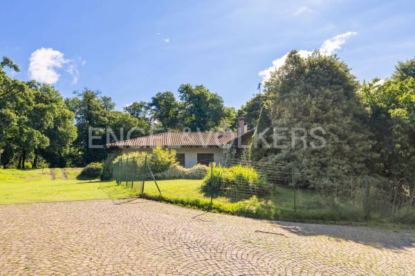 immagine annuncio 2 di 12