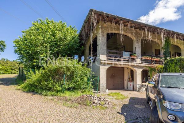 immagine annuncio 8 di 12