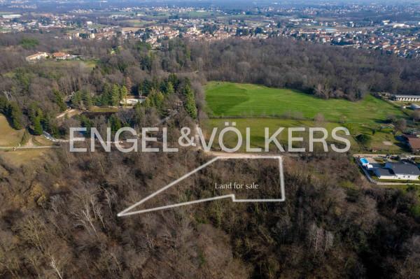 immagine annuncio 4 di 7