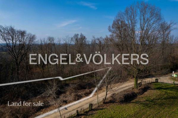 immagine annuncio 5 di 7