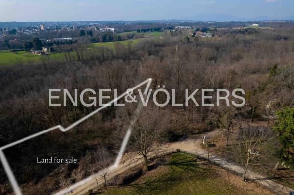 immagine annuncio 6 di 7