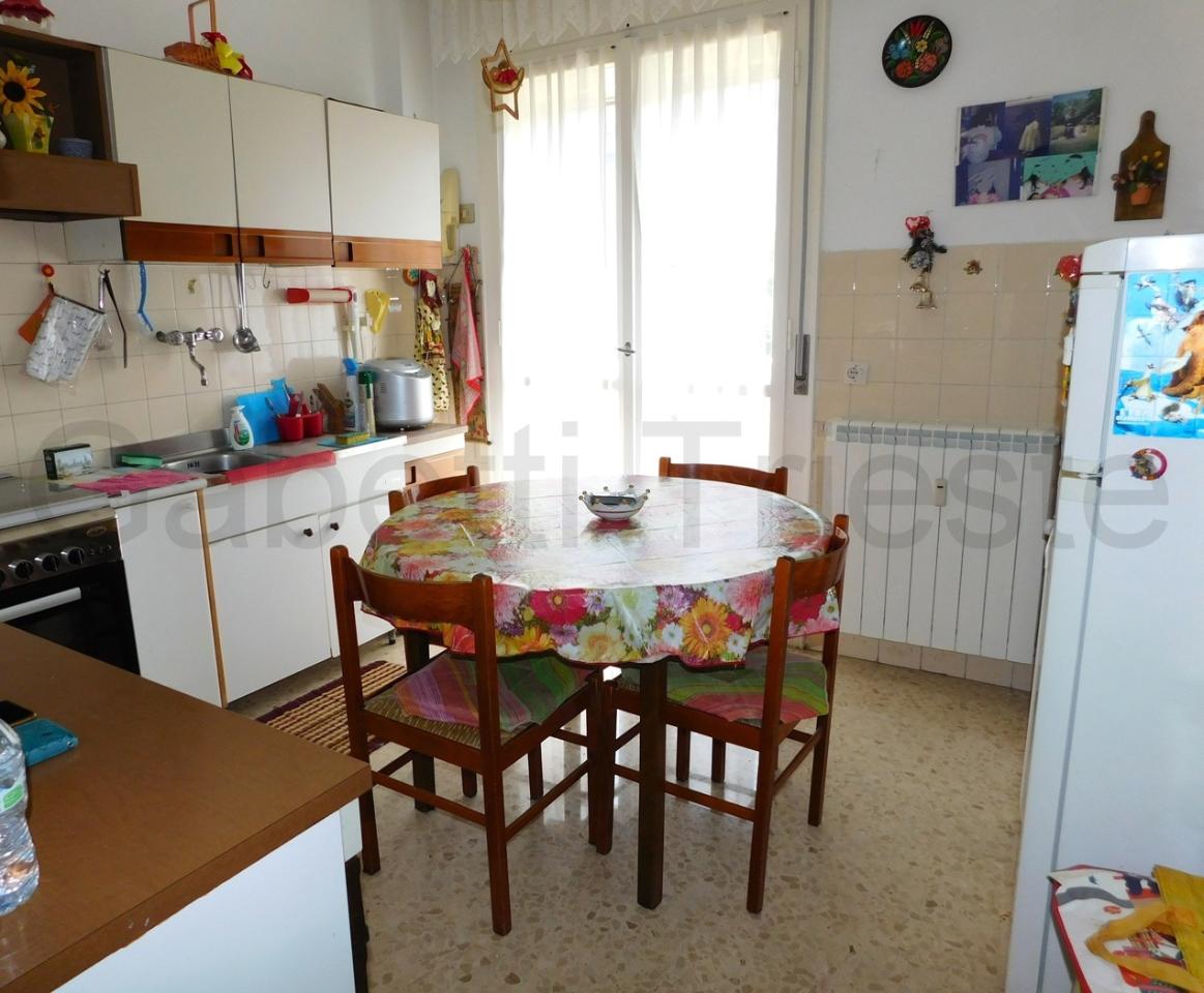 immagine annuncio 5 di 14