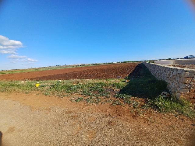 Agrargrundstück in Contrada Pezze Morelle, Carovigno - Foto 1