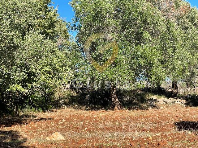 Terreno agricolo in Contrada Pagliarulo, Carovigno - Foto 1