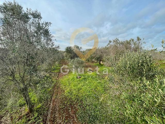 Country house or cottage in {3}, Contrada Colacurto Sn - Photo 1