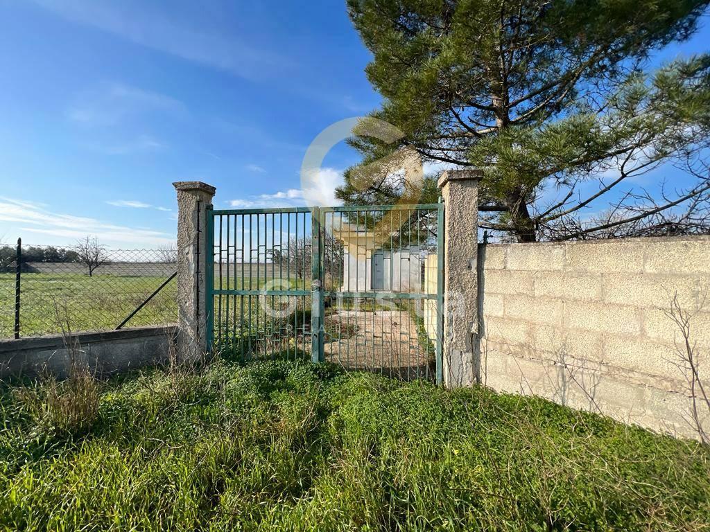 Agriturismo in Strada per Restinco, Brindisi, {3} - Foto 1