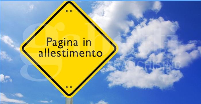 immagine annuncio 2 di 6