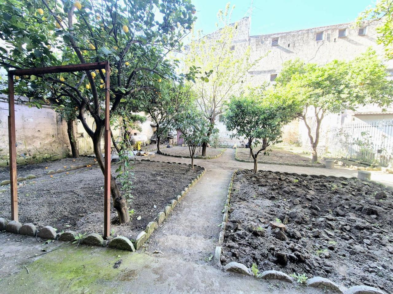 immagine annuncio 8 di 12