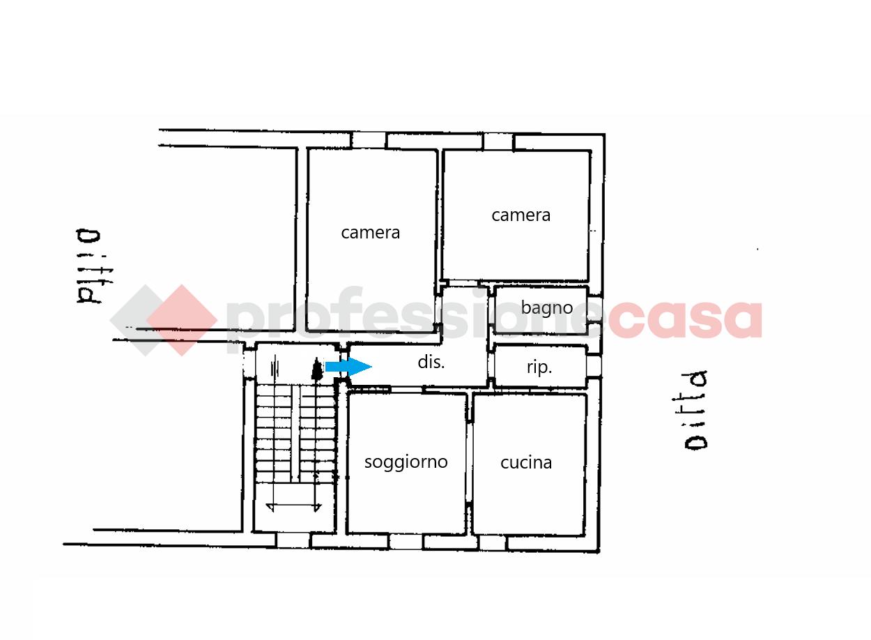 immagine annuncio 9 di 14