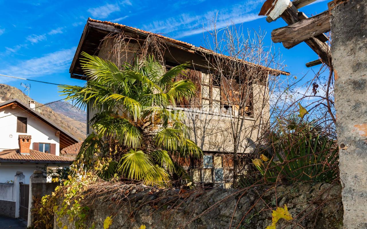 immagine annuncio 1 di 7