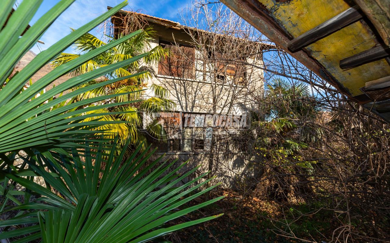 immagine annuncio 2 di 7