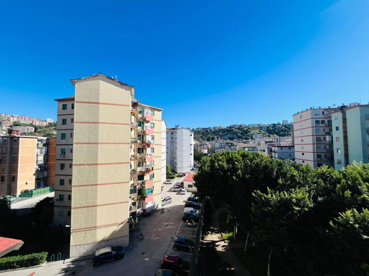 immagine annuncio 13 di 14