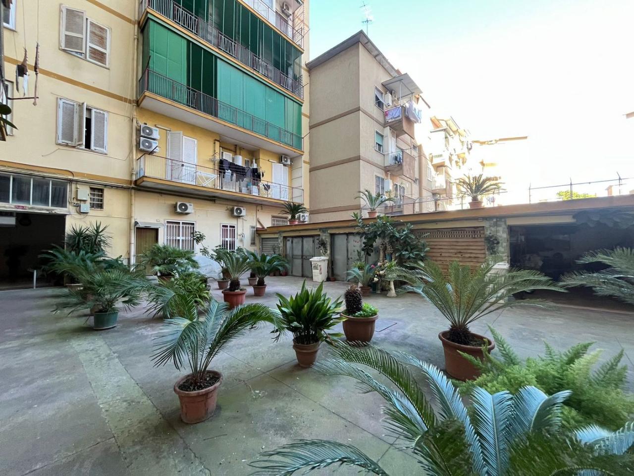 immagine annuncio 11 di 14