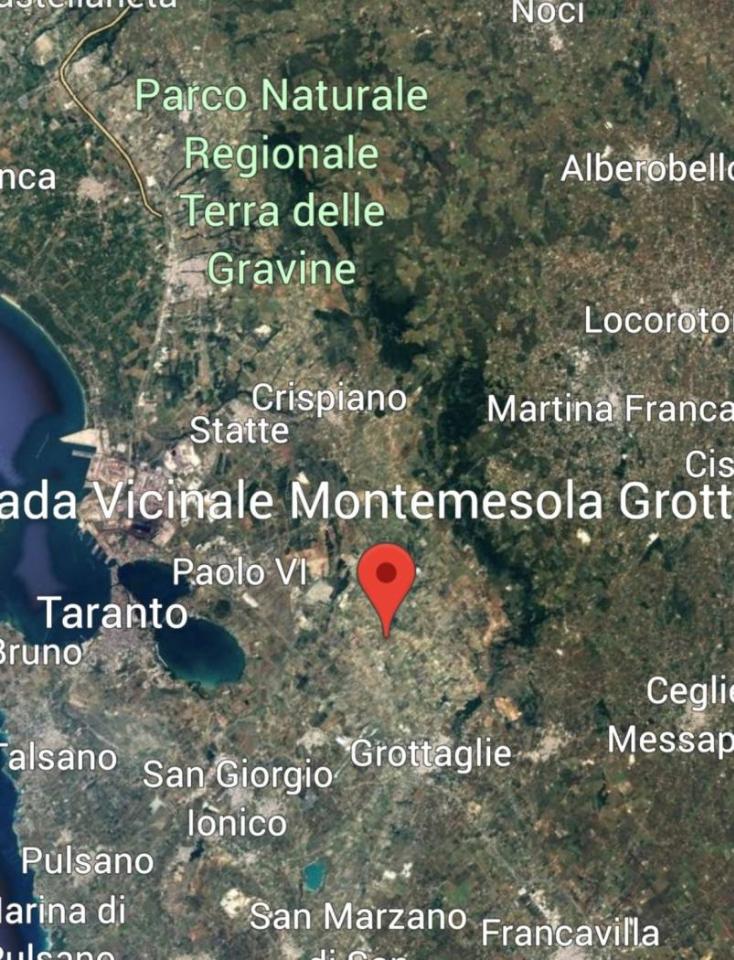 immagine annuncio 10 di 12