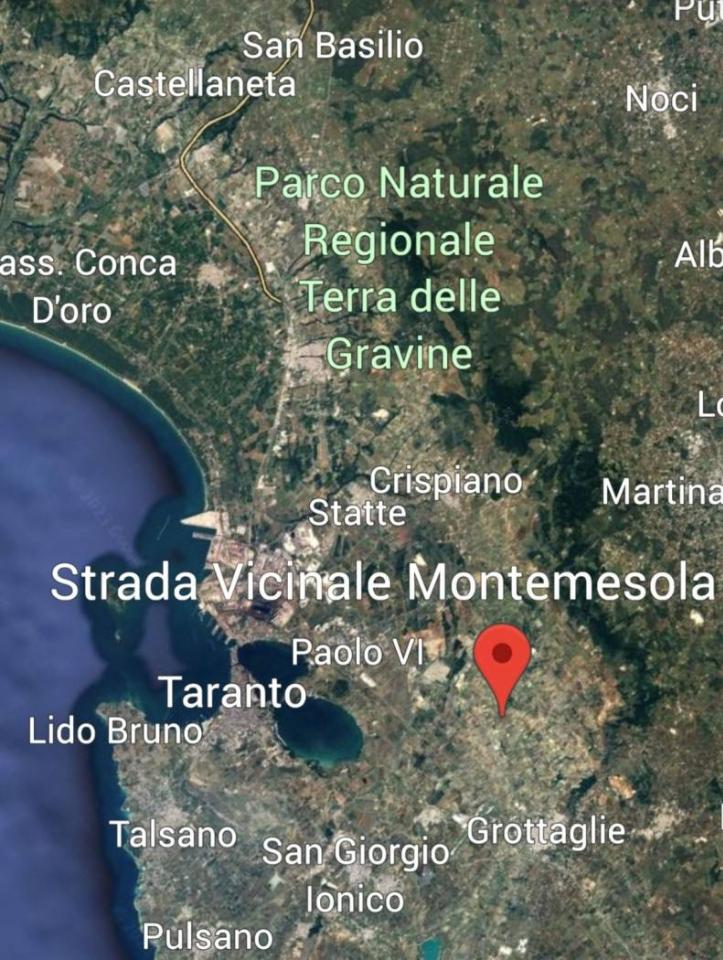 immagine annuncio 11 di 12