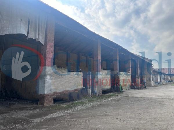 immagine annuncio 9 di 13