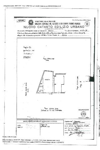 main planimetry real estate image