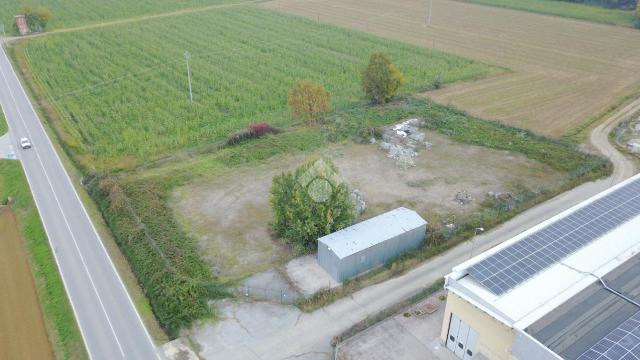 insertion image