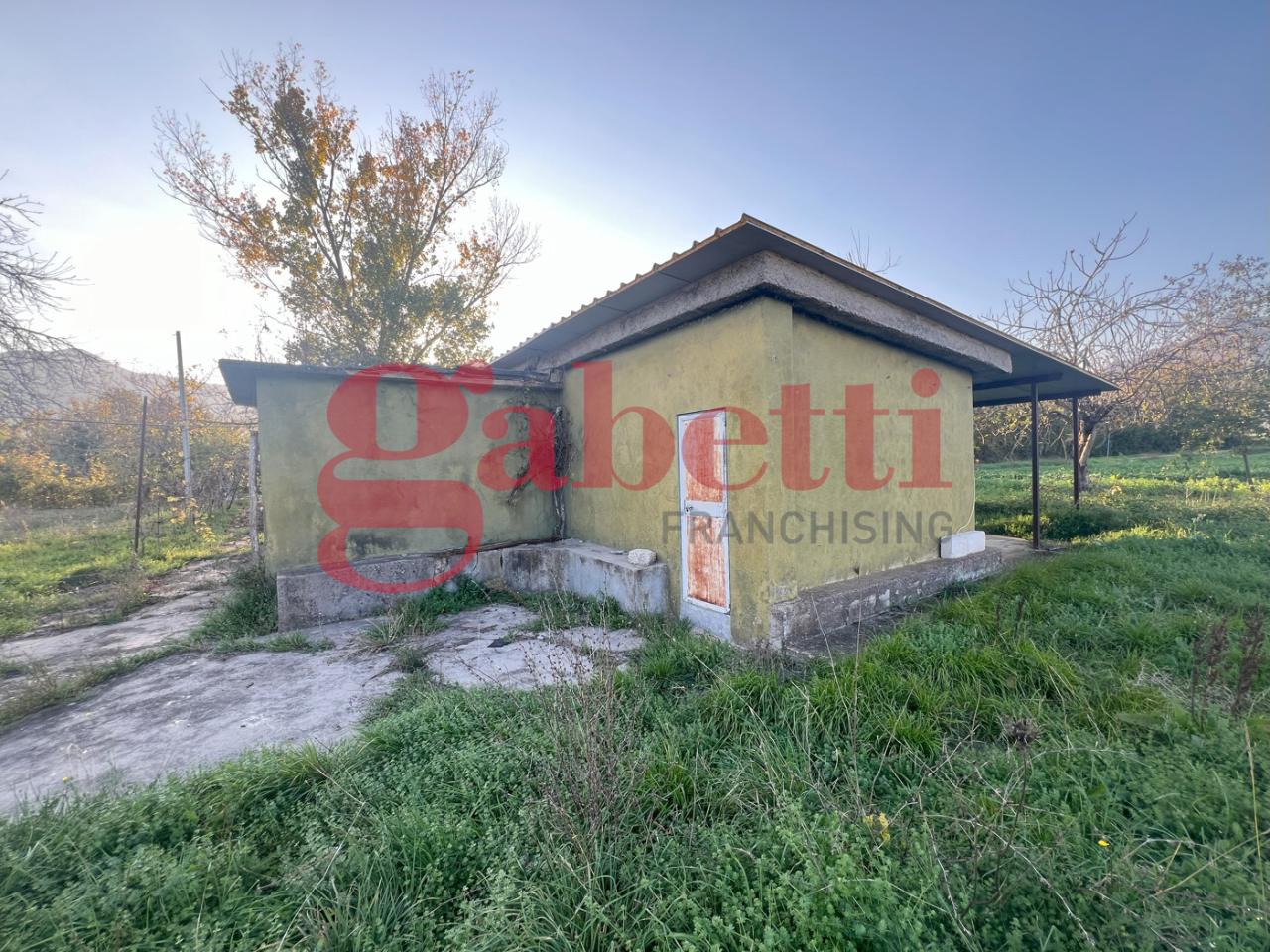immagine annuncio 2 di 7