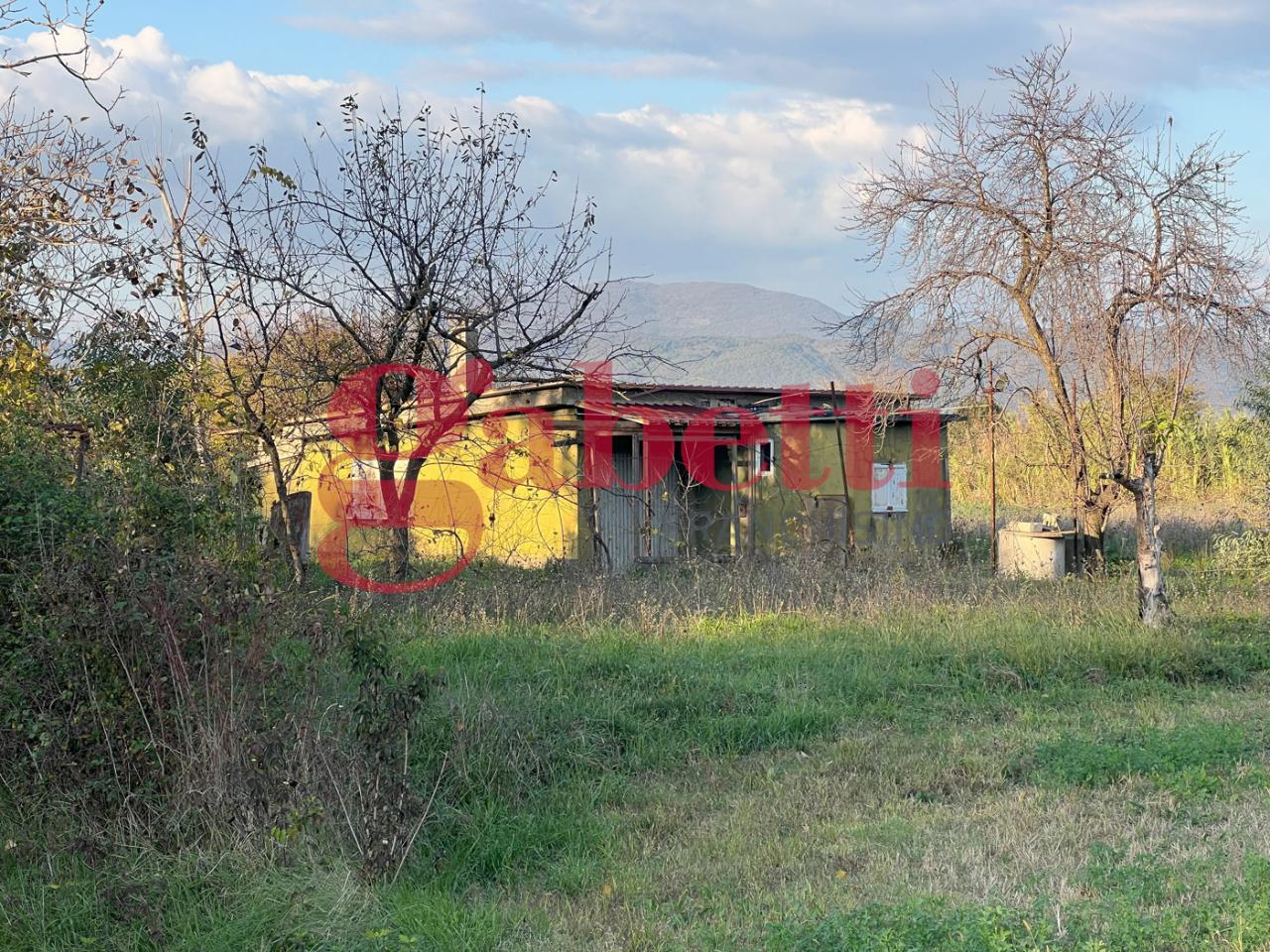 immagine annuncio 5 di 7