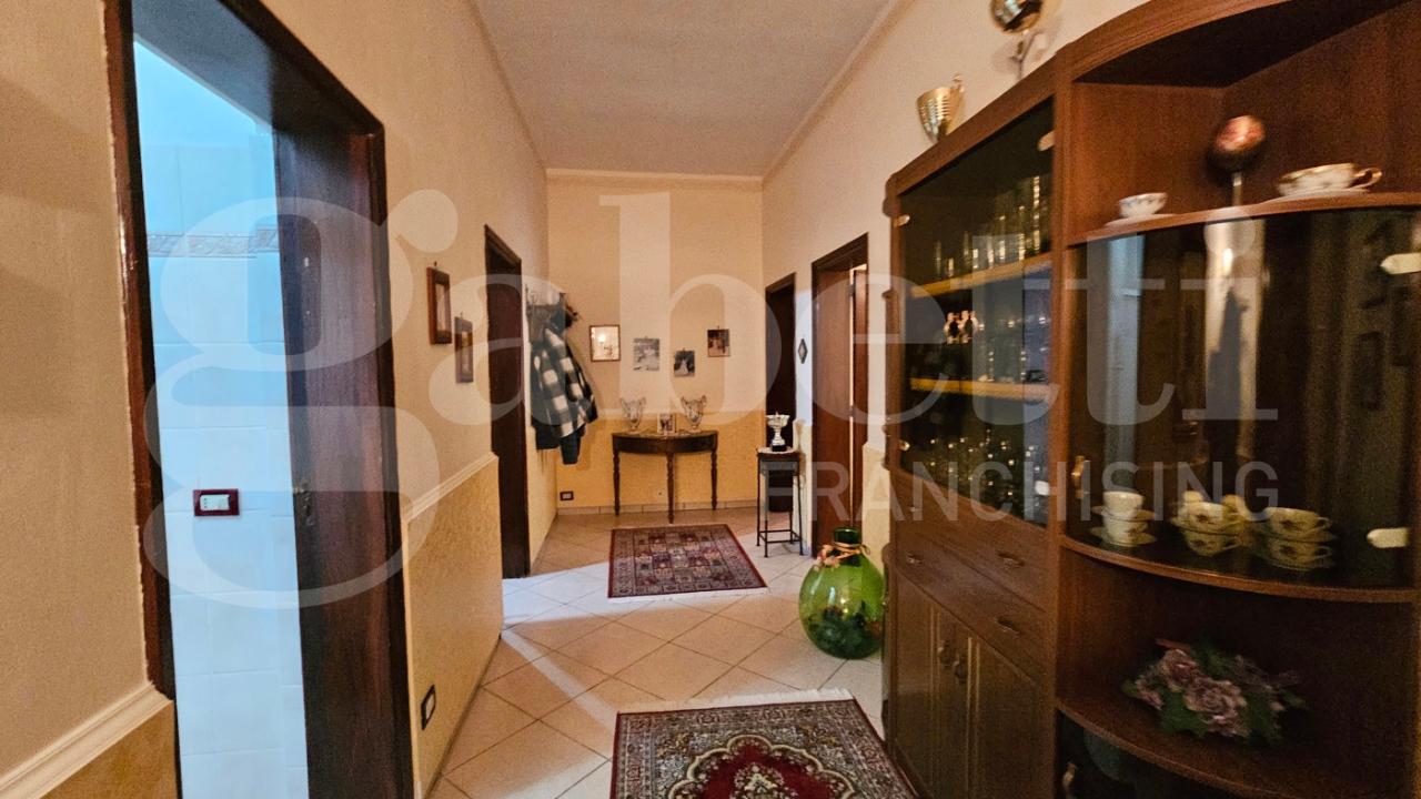 immagine annuncio 6 di 14