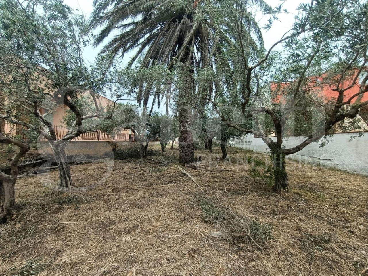 immagine annuncio 6 di 8