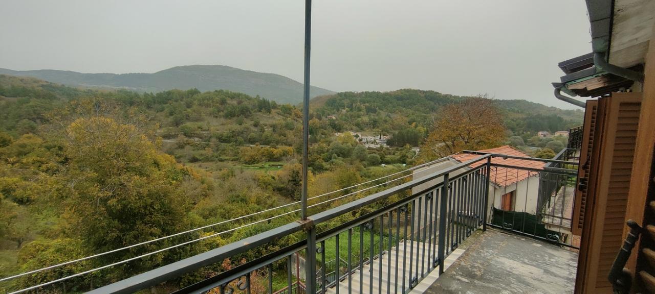 immagine annuncio 7 di 14