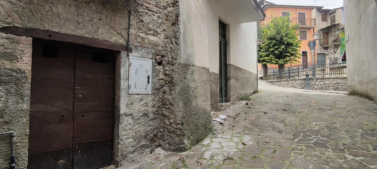 immagine annuncio 12 di 14