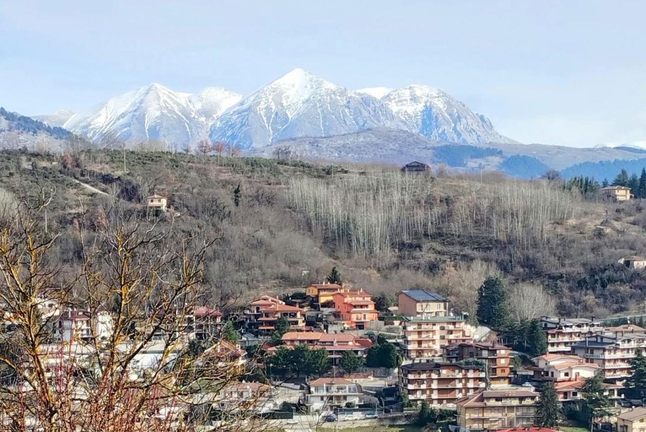 immagine annuncio 9 di 11