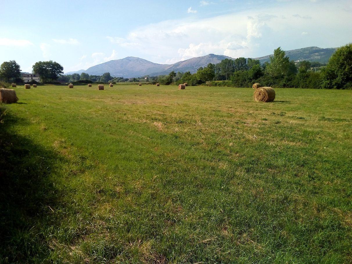 immagine annuncio 1 di 3