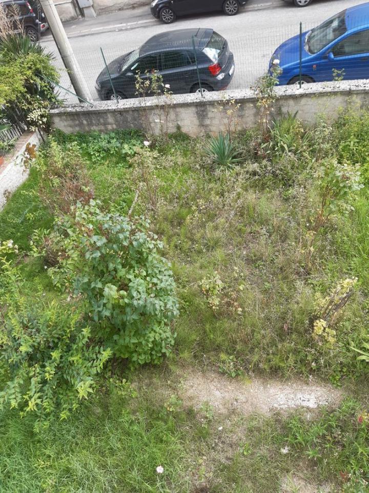immagine annuncio 12 di 13