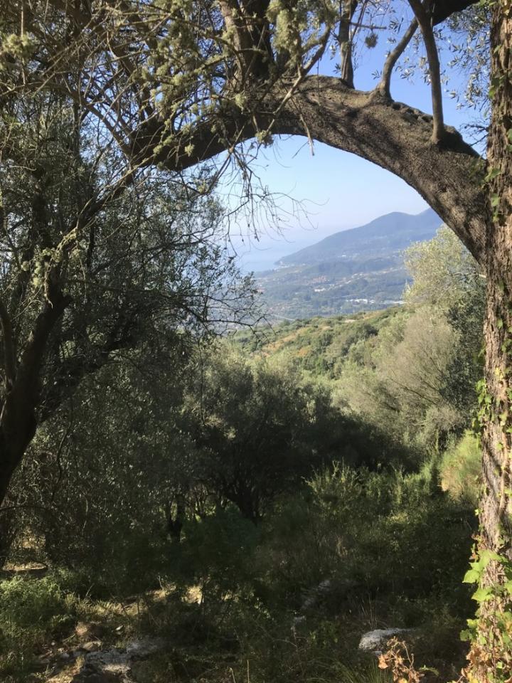immagine annuncio 4 di 9
