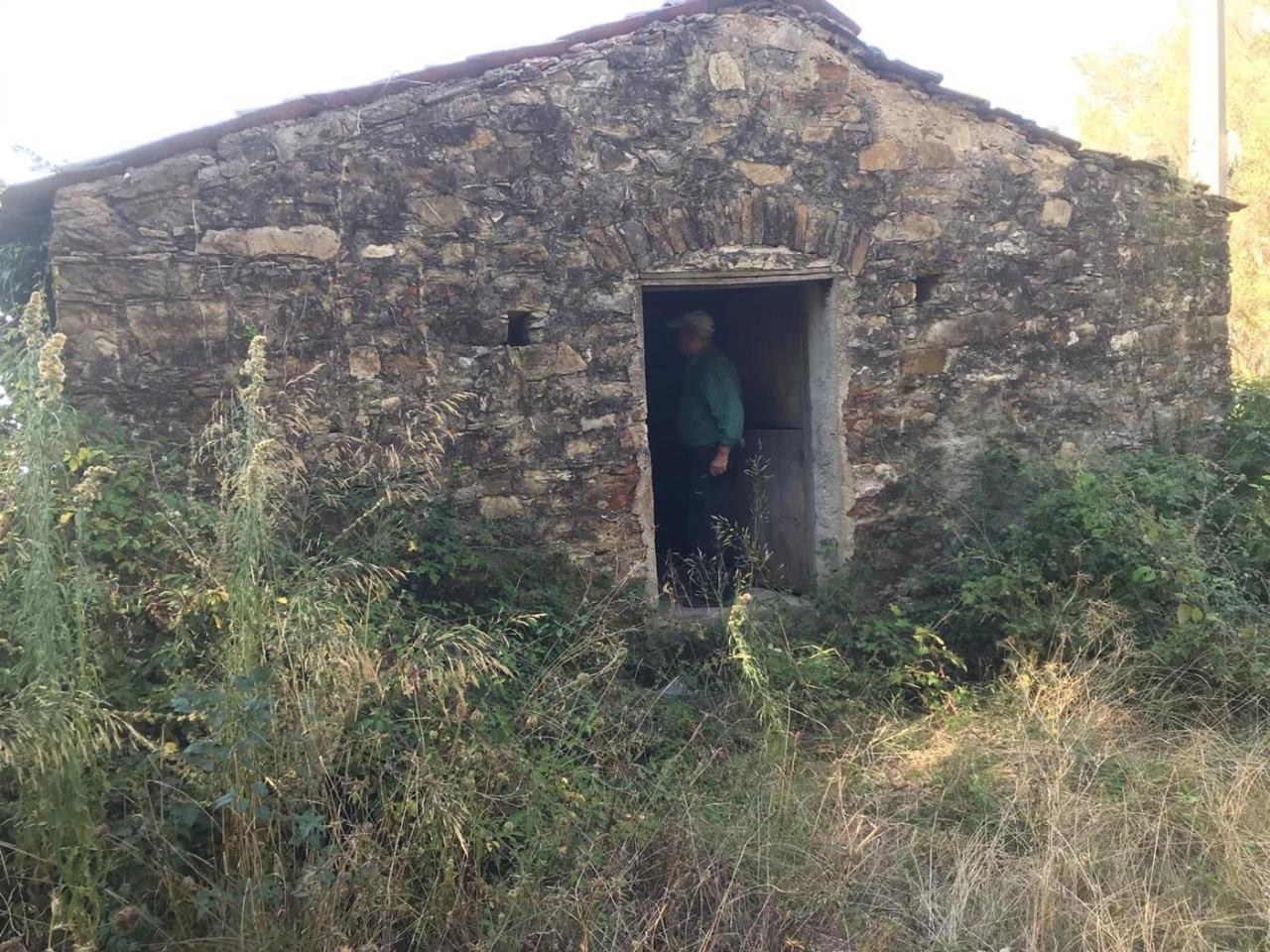 immagine annuncio 2 di 9