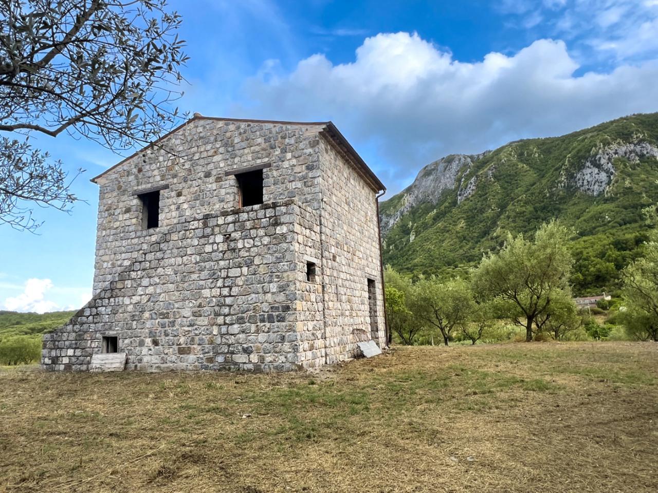 immagine annuncio 2 di 8