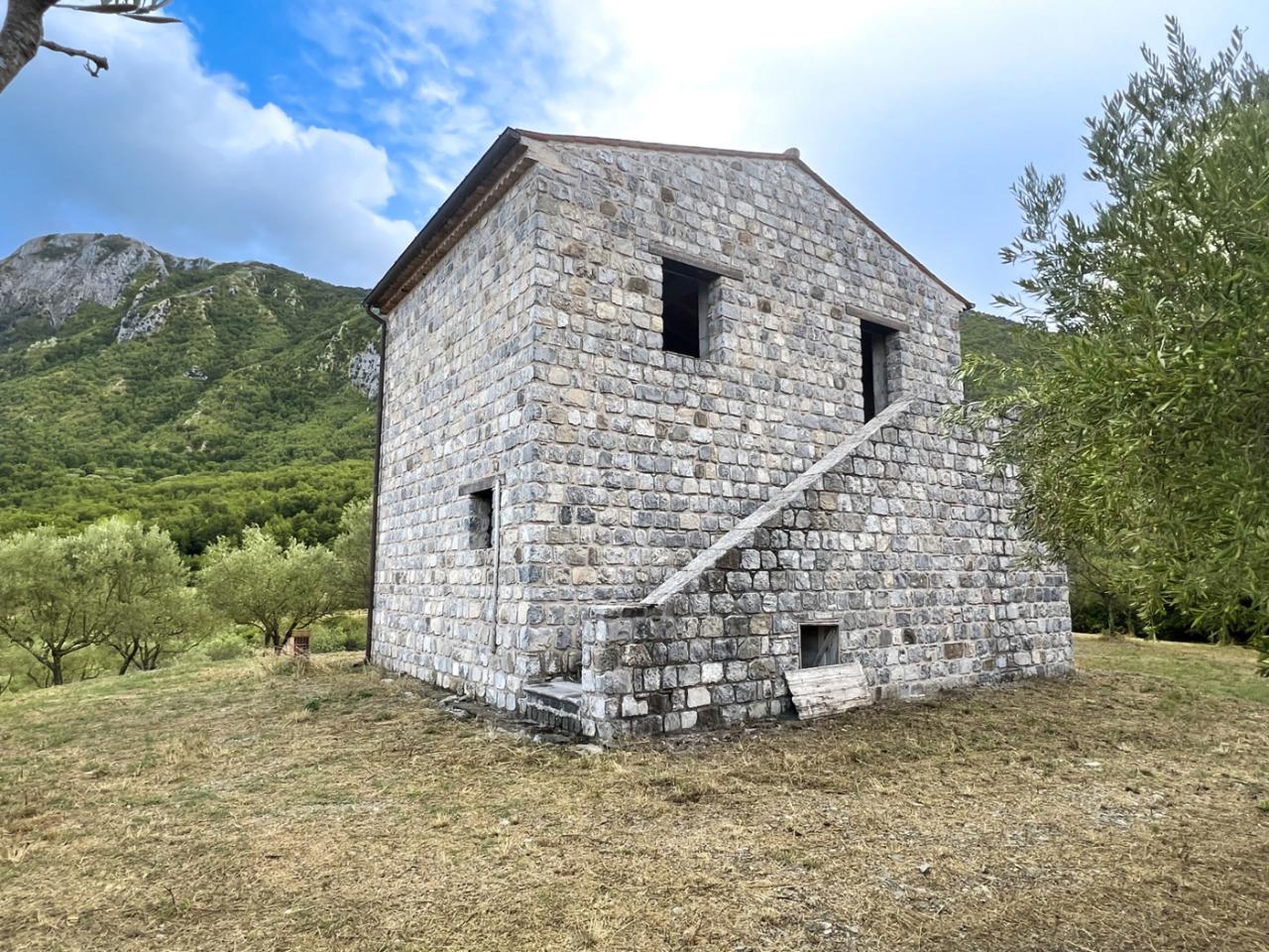 immagine annuncio 1 di 8