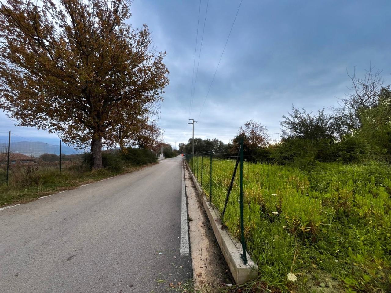 immagine annuncio 6 di 7