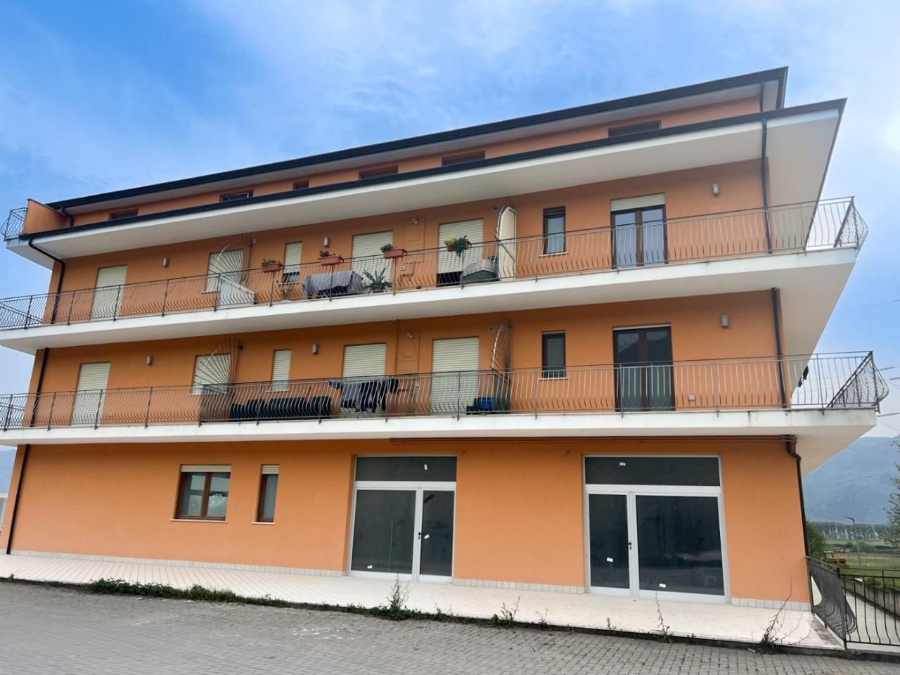 immagine annuncio 10 di 12