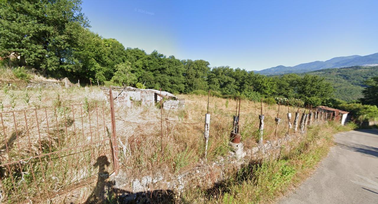 immagine annuncio 1 di 2