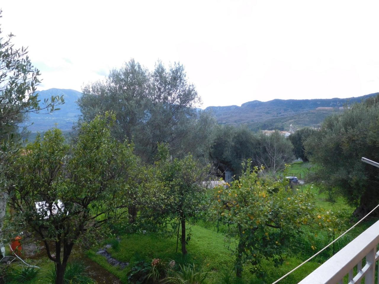 immagine annuncio 11 di 13