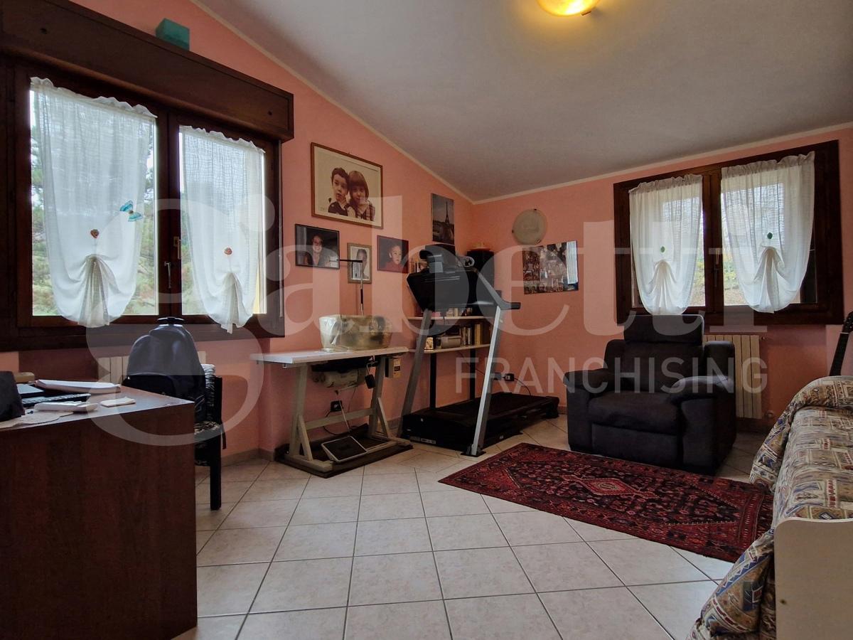 immagine annuncio 6 di 11