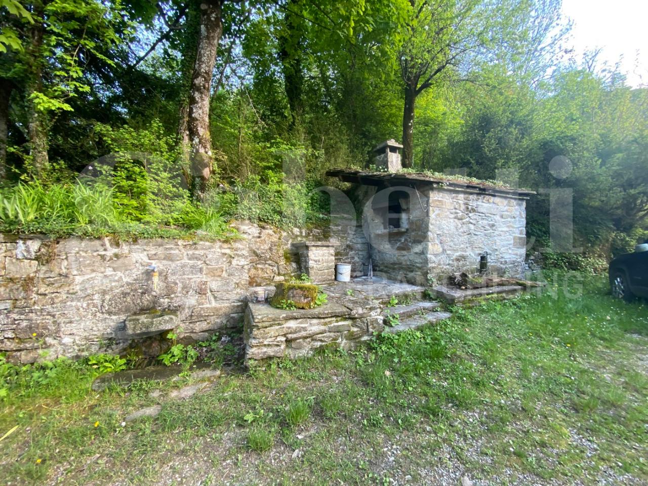 immagine annuncio 11 di 14