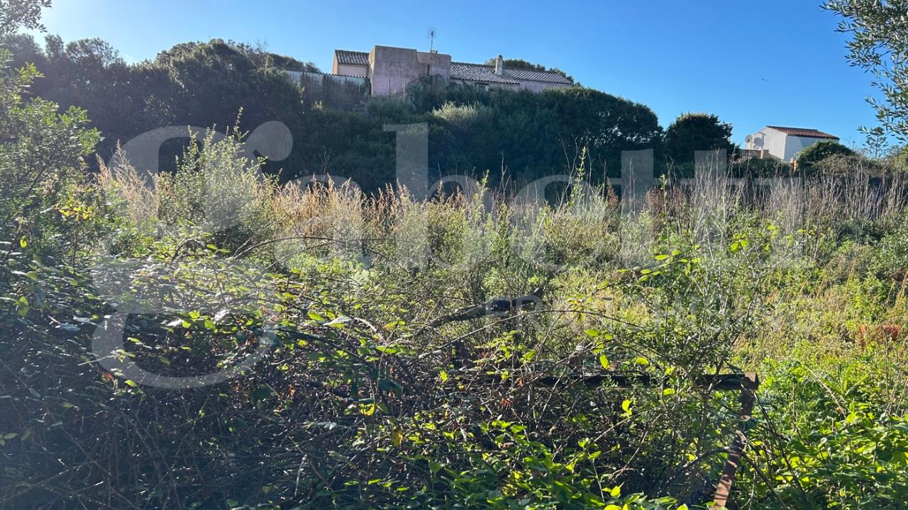 immagine annuncio 8 di 11