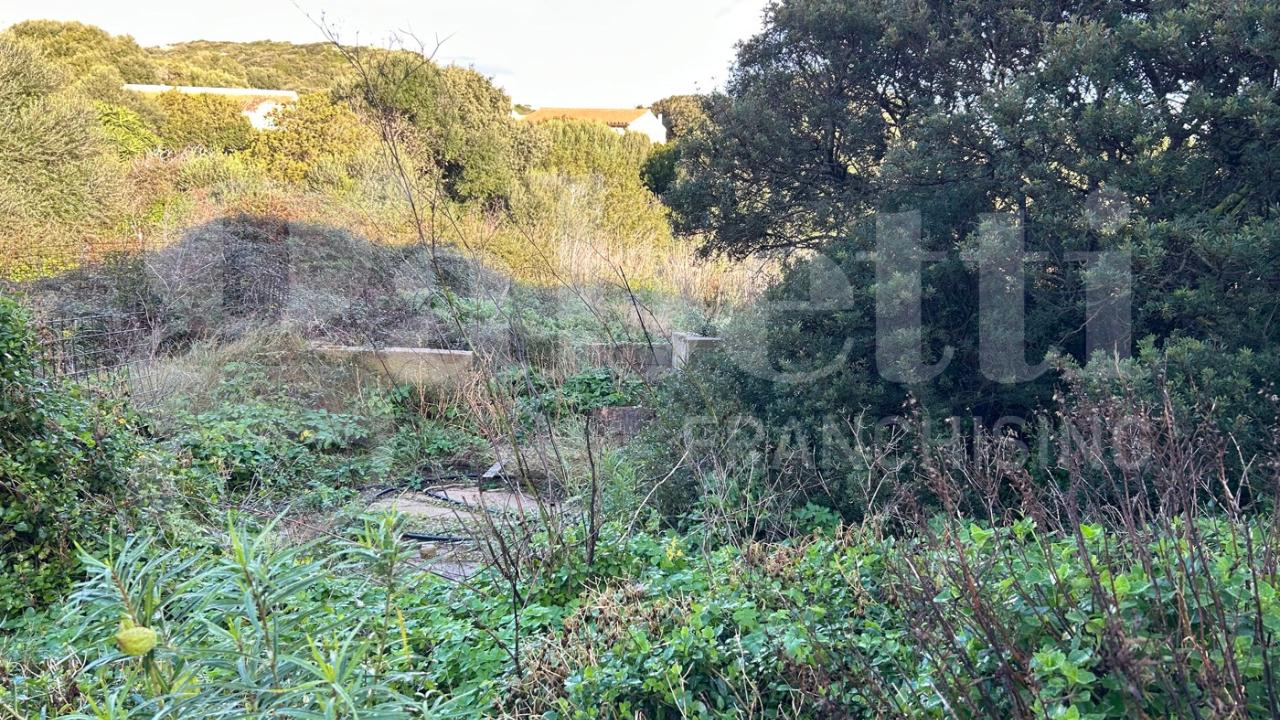 immagine annuncio 6 di 11