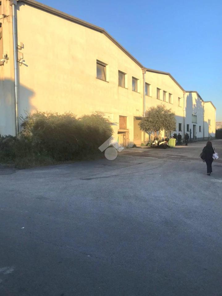 Capannone in Via Roma 351, Frattamaggiore, {3} - Foto 2