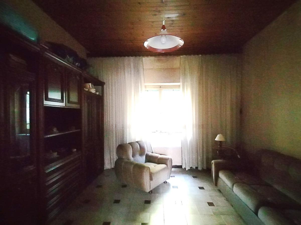 immagine annuncio 3 di 7