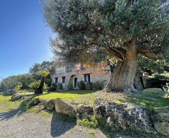 Villa in Regione Campore, Albenga - Foto 1