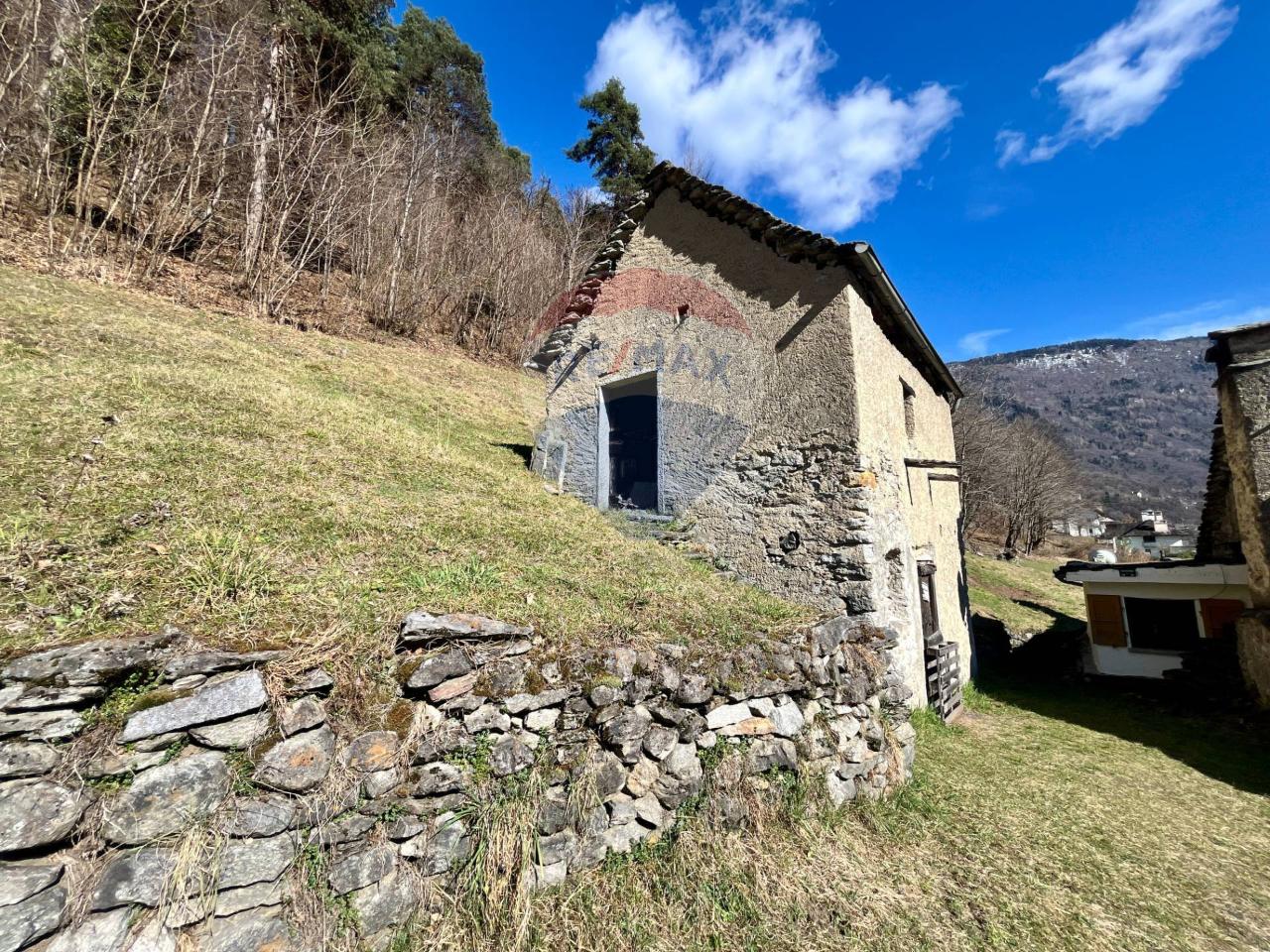 immagine annuncio 3 di 14